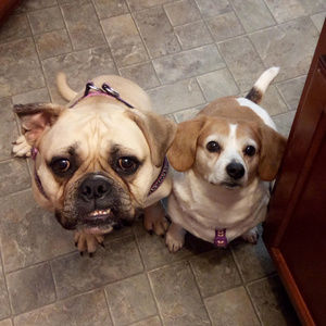 Meet your Posher, Stacy